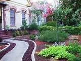 Pictures of Brown Lava Rock Landscaping