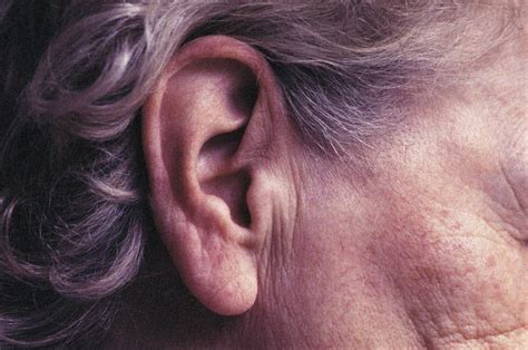How Tickling The Ear Could Prevent Age Related Disease