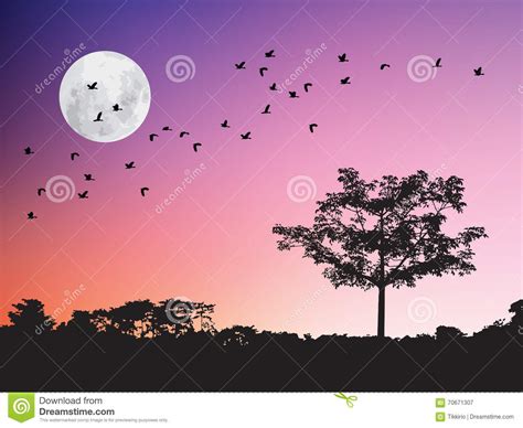 Birds Flying Over The Moon And Tree Silhouette In Twilight Sunset Stock