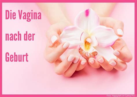 die vagina nach der geburt geburtsvorbereitung rückbildung