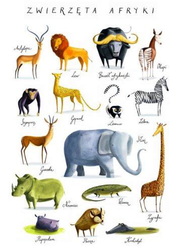 Zwierzęta Afryki Ambelucjapl Księgarnia Literacka Książki Dla Dzieci