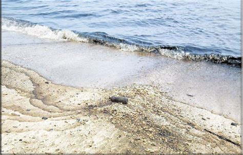 Fujairah Hit Again By Oil Pollution News Emirates Emirates24 7