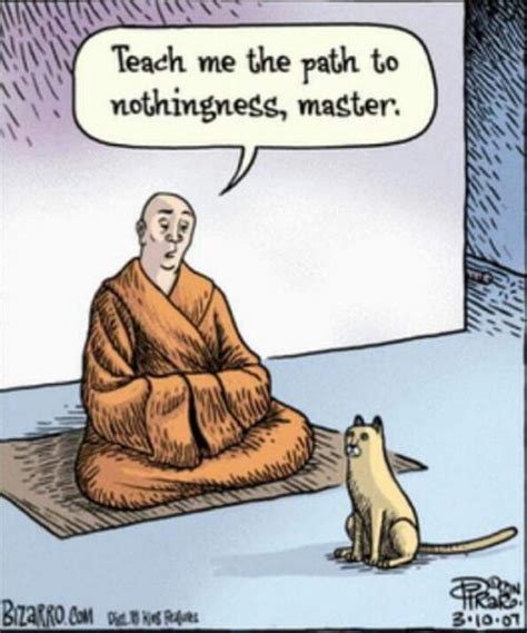 Zen Humor Cat Animal Reiki Zen Bizarro Comic