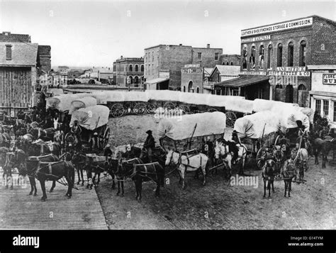 A Wagon Train On The Streets Of Denver Circa 1860 Manifest Destiny Was