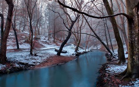 배경 화면 햇빛 경치 숲 반사 눈 겨울 분기 얼음 아침 서리 강 황야 흐름 동결 나무 가을 잎