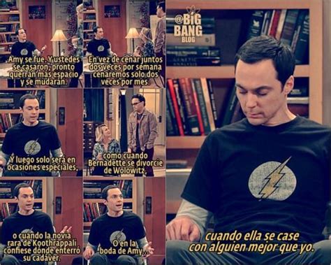 Ver The Big Bang Theory Online Español Latino Temporada 6 Peliculatiode