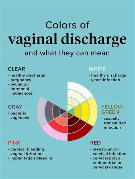 Vaginal Discharge During Pregnancy Bump Baby Scans