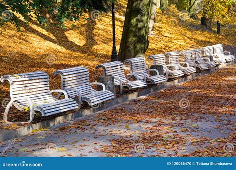 Bench In Autumn Park Autumn Fall Stock Photo Image Of Leaf Outdoor