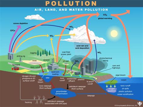 What Are The Different Types Of Pollution Britannica