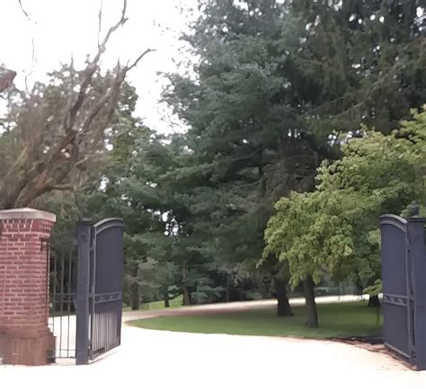 The Surprising Connection Of Bruce Springsteen With Garden