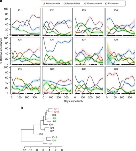 Individuality And Convergence Of The Infant Gut Microbiota During The