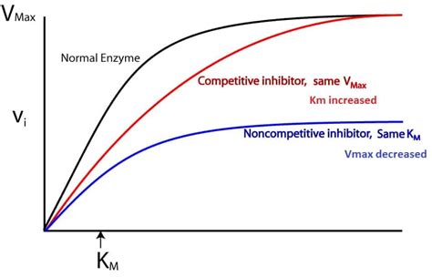 Enzyme Inhibition New