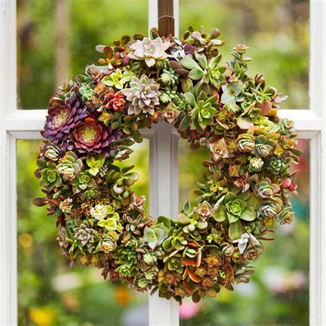 How To Make A Succulent Wreath