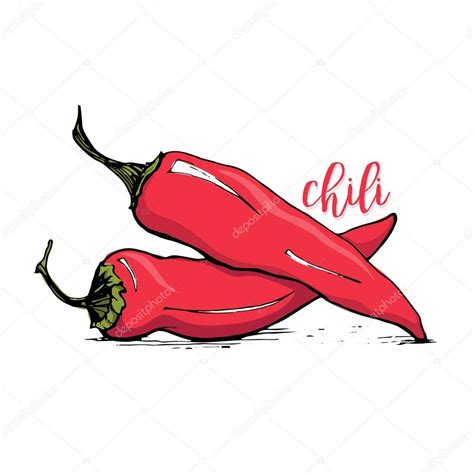 Ilustración de vector de chiles rojos pimiento dibujo ...