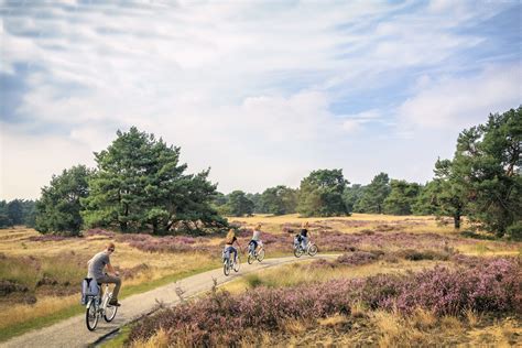 Entdecken Sie Den Nationalpark Hoge Veluwe In Den Niederlanden
