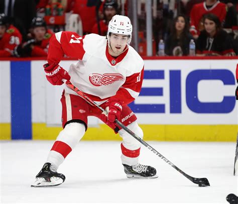 The torchbearers of the industry. Red Wings: Filip Zadina finding his stride as a professional