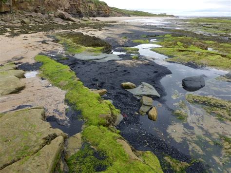 Sea Coal © Russel Wills Geograph Britain And Ireland
