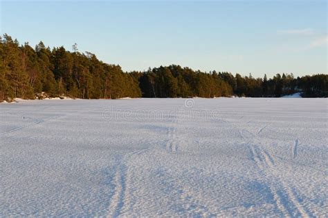 Cross Country Skiers Tracks In The Snow At Frozen Lake In Finland Stock