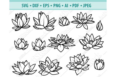Lotus Svg Lotus Clipart Lotus Flower Svg Png Dxf Eps 560272 Cut Files Design Bundles