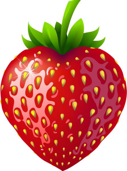 Strawberry — Stock Vector © Jara3000 6973306