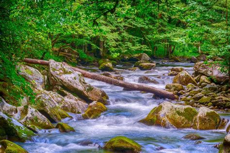 Smoky Mountain Stream Stock Photo Image Of Beautiful 109375326