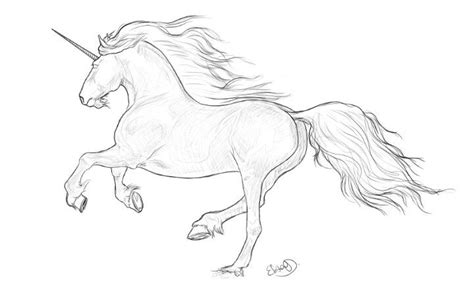 Https://tommynaija.com/draw/how To Draw A Beautiful Pegasusunicorn