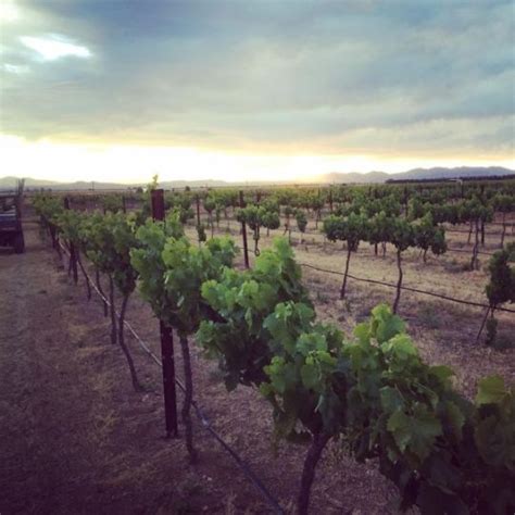 Beginner S Guide To Arizona S Incredible Wine Trails Visit Arizona