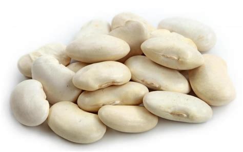 Butter Beans Complete Information Including Health Benefits
