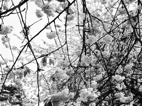 Braintree And Silver End Essex Spicygreenginger Flickr