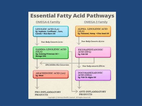 Essential Fatty Acids