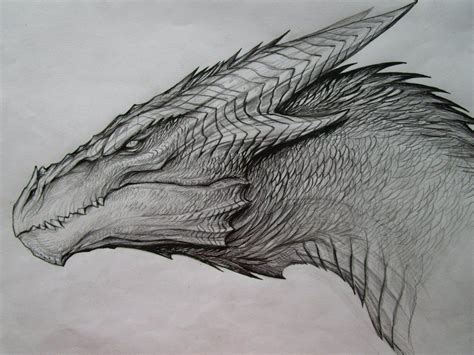 Dragon Sketch Dragões O Esboço Do Dragão Desenho De Dragão