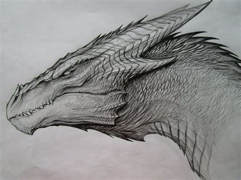 Drawing a dragon will become quite simple for you when you follow my steps. Dragon Sketch | Dragon sketch, Dragon head drawing, Dragon ...