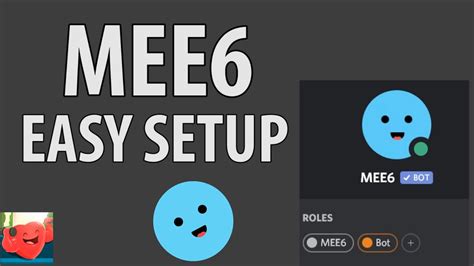 Mee6 Bot Discord Easy Setup Welcome Reaction Roles Levels