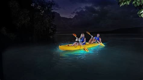 Kayak In The Bioluminescent Bay Of Fajardo Puerto Rico Bioluminescent Bay Bioluminescent Bay