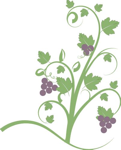 Grapevine Border Cliparts Free Download On Clipartmag