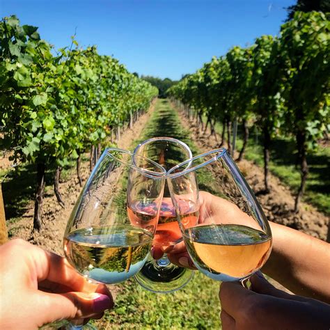 Private Wine Tour 2 Vineyards And Lunch Wine Tours Of Kent Guided