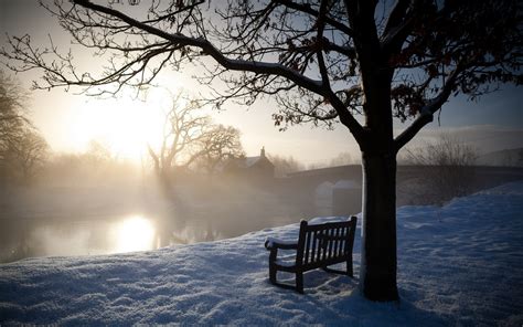 Nature Landscapes Morning Dawn Sunrise Trees Bench Winter Snow Rivers