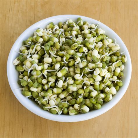 Sprouting A Revolution Are Sprouts The Latest Superfood Organic