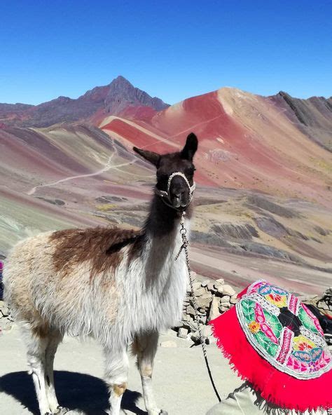 Tour A La Montaña De 7 Colores En Cusco Montañas Maravillas