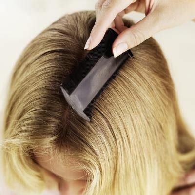 As with all topical products, hair dye will not penetrate the casing of the nits and therefore they might be a different color, but they will not be dead. Do Lice Tend to Live in Color Treated Hair? | eHow
