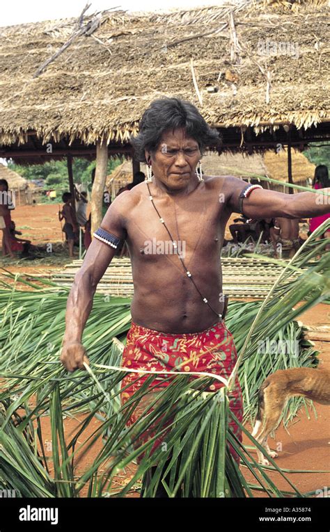 A Ukre Village Brazil Kayapo Man Splitting Palm Branches For Thatching A House Xingu Indigenous