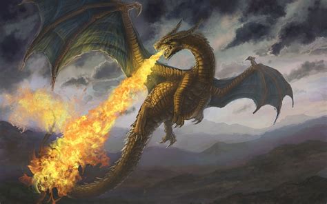 Western Dragon Wallpapers Top Free Western Dragon Backgrounds