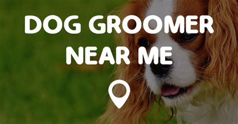 Training can have many objectives: DOG GROOMER NEAR ME - Points Near Me