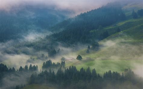 Nature Landscape Morning Mist Mountain Forest Trees