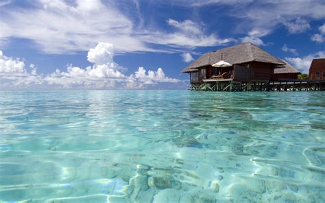 Luxury Maldives Resort Clean Water In Sea Wallpaper Download 5120x3200
