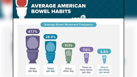 Americas Bowel Movement Patterns Infographic