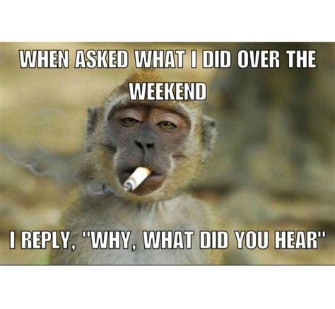 Pin By Cindy Holmes On Funnylicious Weekend Humor What Do You Hear