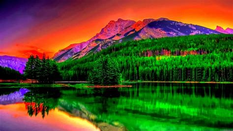 Beautiful Nature Wallpaper Desktop Background 1920x1080 Download Hd