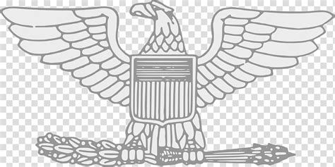Colonel Eagle Clipart 10 Free Cliparts Download Images On Clipground 2024