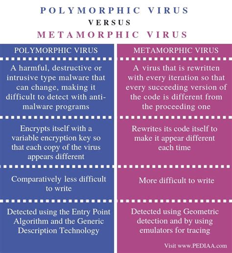 Difference Between Polymorphic And Metamorphic Virus Pediaacom